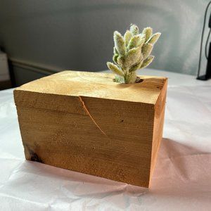 Faux Succulent in Handmade Wood Planter